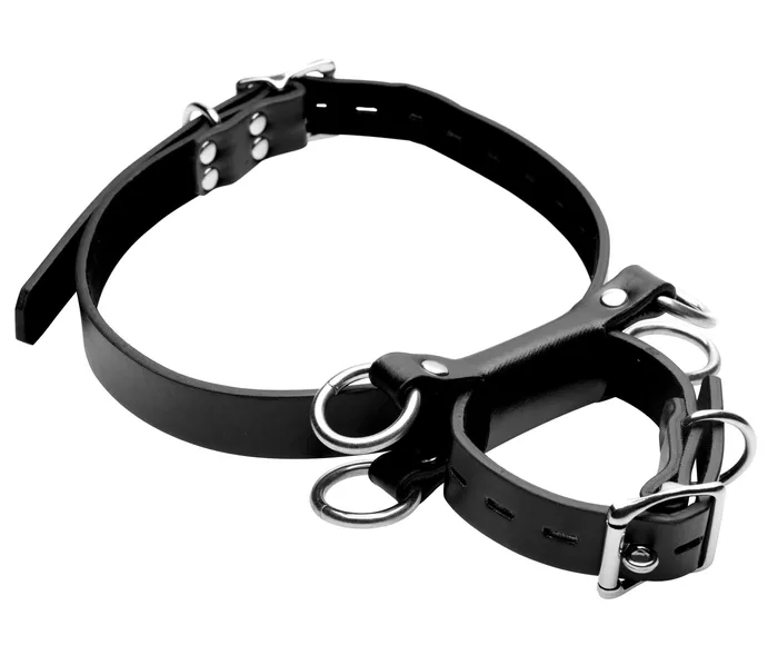 Vibrators XR Brands Strict FrogTie Restraints