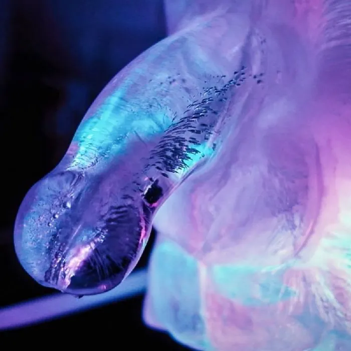 CreativeC Play Wiv Me Huge Penis Ice Luge Mould Male Sex Toys